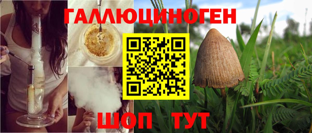 Галлюциногенные грибы мухоморы Краснознаменск